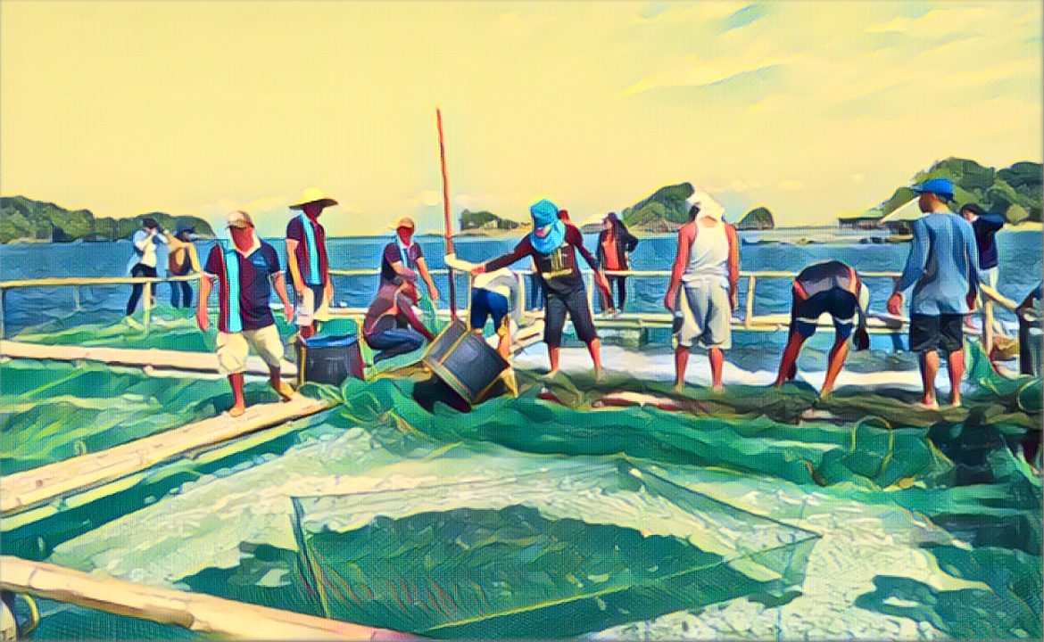 Edited in Prisma app with Thota Vaikuntam