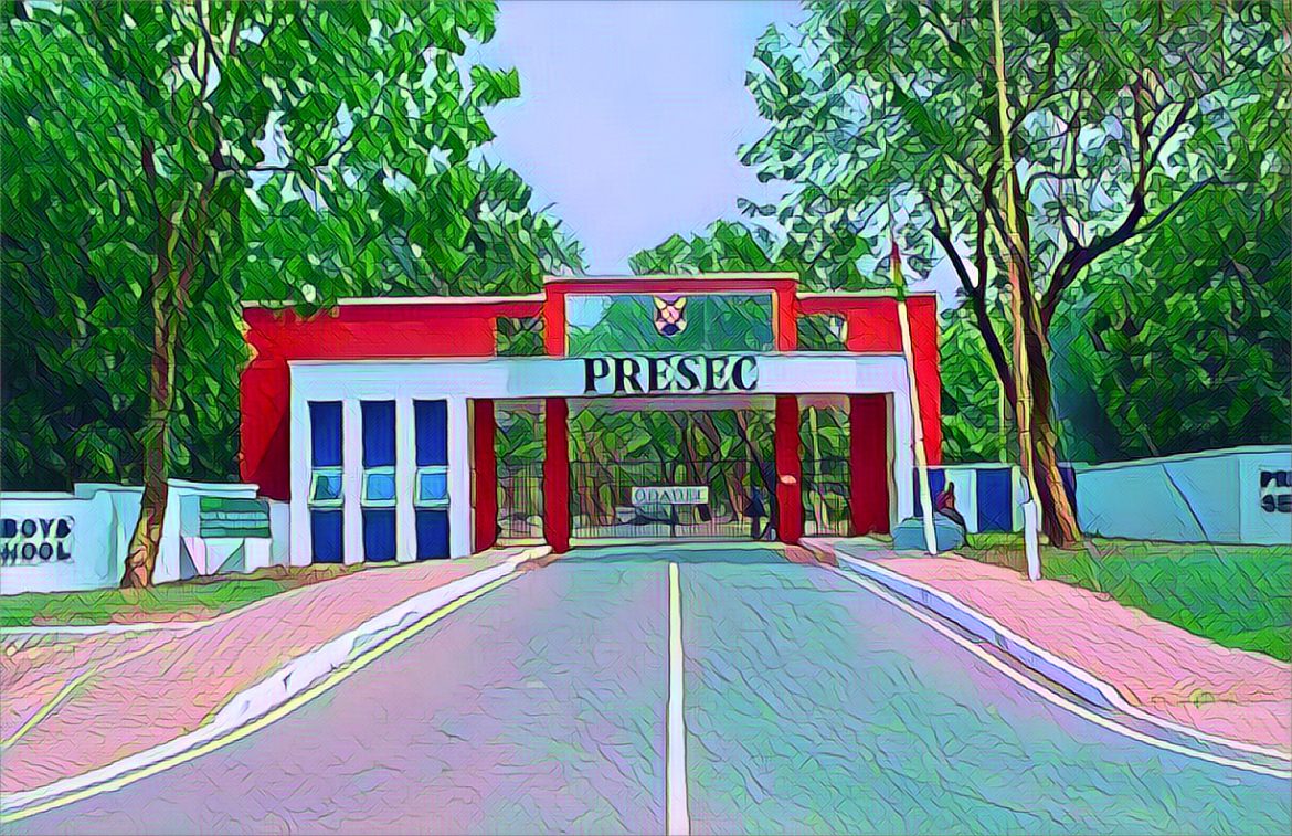 Edited in Prisma app with Leaf fall