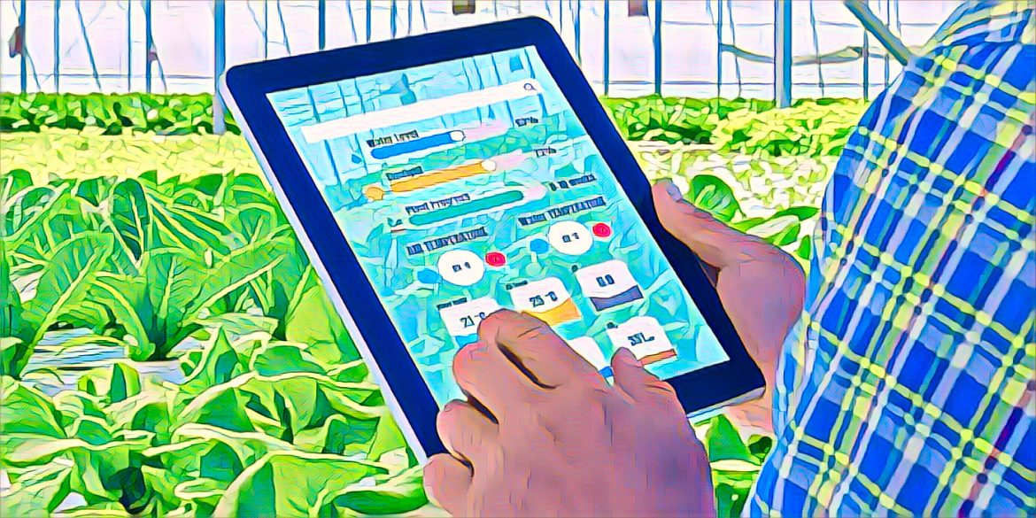 The Rise of Agritech Startups in Ghana