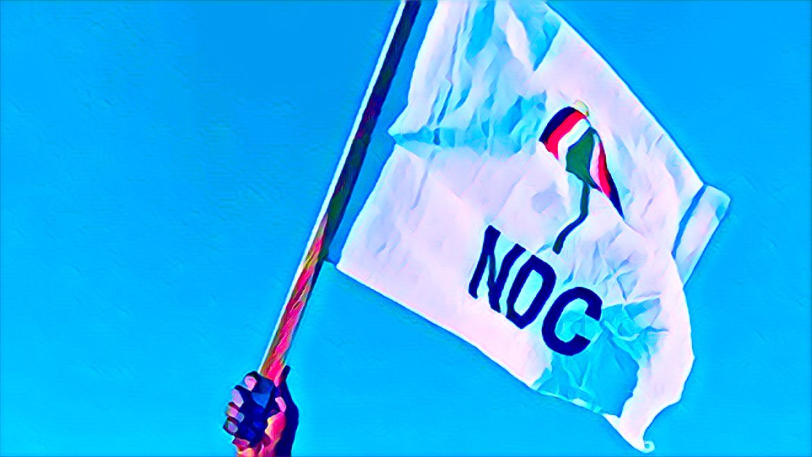 NDC sues EC
